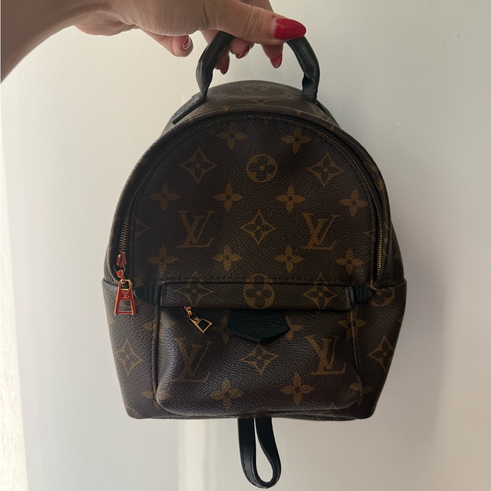 Louis Vuitton Palm Springs Mini Backpack